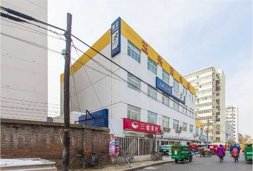 集安菊花采購基地